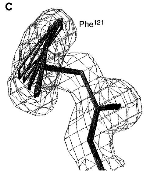 (1996) Phe121 (A) Experimental map