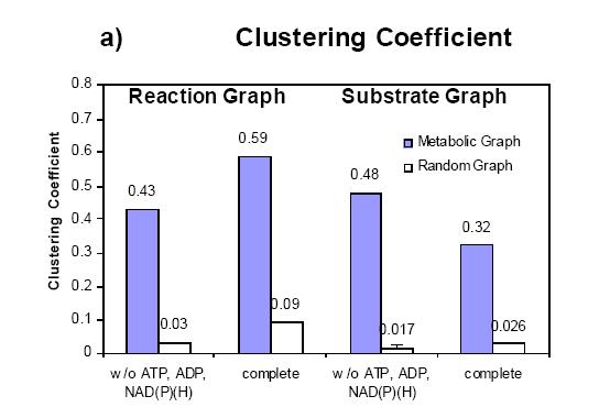 connectivity Clustering coefficients are much larger than in ER graphs Reaction