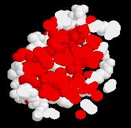This is a cross section of the molecule - a slice through the middle. ydrophobic amino acids are shown in red.