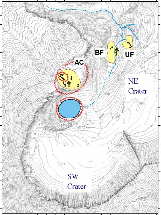 Fumaroles of the volcano are localized within three fields: Upper Field, Bottom Field and Active Crater, hereafter UF, BF and AC (Fig. 3).
