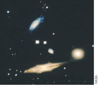 Irregular galaxies are composed mostly of young stars, while elliptical galaxies contain old stars.