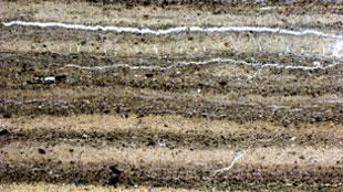 A sediment core layer,