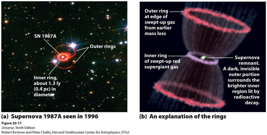 1987A Supernova Several years after the initial supernova explosion, the Hubble telescope shows 'rings' around the remains of the explosion.