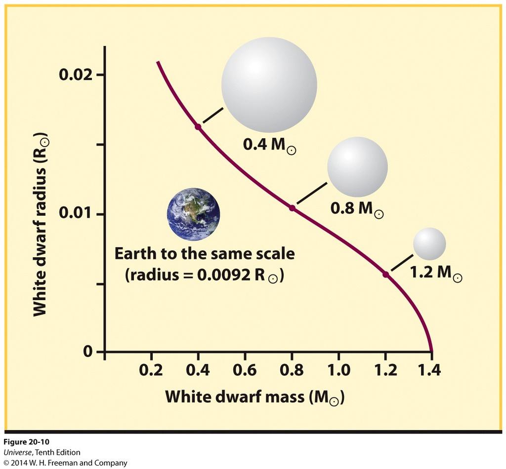 Mass Radius Relation for White Dwarfs The more massive a white dwarf star the smaller the radius! There is a limit to how much pressure degenerate electrons can produce. The limit is a star of 1.