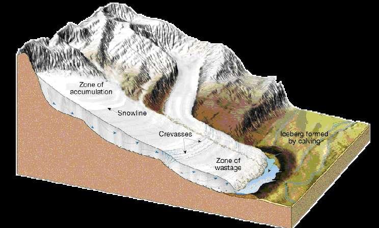 How Glaciers Change Glacial advance: