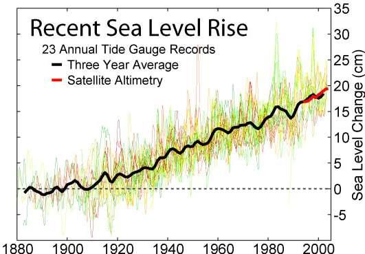How much is sea level rising? Since 1900 sea level has risen 10-20 cm.