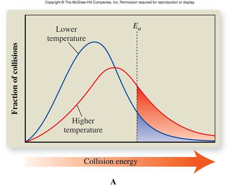 Effect of Temperature Increasing the temperature of the reaction increases the number of effective collisions by both increasing the total number of