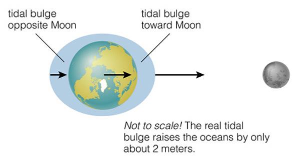 The Moon and Tides 14 The Moon s mass is small, but