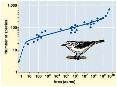 species-area curve quantifies what may seem obvious: the larger the