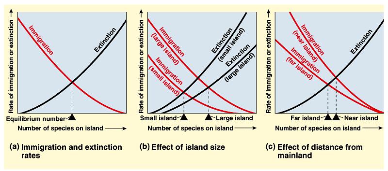 The equilibrium theory of Island Biogeography proposes that two factors