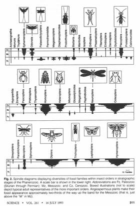 Avian Refuges Proposed for the Amazon Basin Co-Radiation Hypothesis Explosion of Diversity of insects with the advent of the evolution of flowering plants (Angiosperms) Fossil Record of