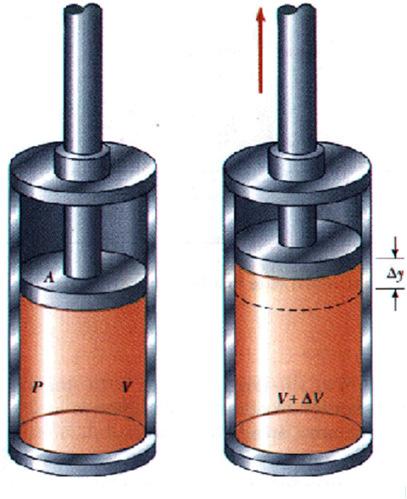 Work in a Gas Cylinder +y The gas is contained in a cylinder with a moveable piston The gas occupies a volume V and
