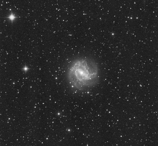 108 2 The Messier Objects Fig. 2.83 Photo of M83; 60 min exposure on hypered Kodak Tech Pan film, 8 f/6 telescope.