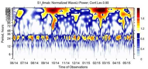 Wavelet analysis of observations S1, 38 mab