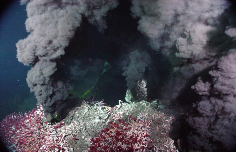 Read the article from the link below and answer the following questions. Savage Earth: Black Smokers Where are hydrothermal vents found? What is a black smoker?