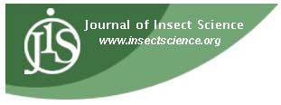 Effects of rearing host species on the host-feeding capacity and parasitism of the whitefly parasitoid Encarsia formosa Peng Dai 1, Changchun Ruan 1, Liansheng Zang 1,2a *, Fanghao Wan 2b *, and