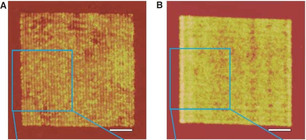 PR means photoresist Images of an array of 60 nm wide slots of 120 nm pitch with the silver slab and with an additional PMMA layer