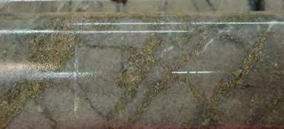 Gold mineralization associated with pyrite forming