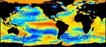 NOAA Current SST