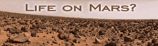 A panoramic view of the Martian