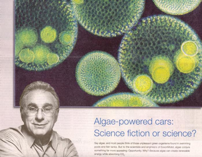 Algae absorb CO2 Greenhouse gas (global warming) Use energy in