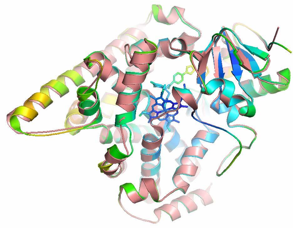 G F I G H C K B D L K J J Supplemental Figure S6. View of the superposed ligand-free and VI-bound Tbb4DM structures from the proximal (opposite to Fig.2b) side.