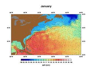 North Atlantic Gyre Boundary Currents 100 Sea Surface Height (cm) 50 0 0 500 1000