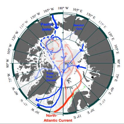 5 Figure 2.1: Circulation in the Arctic Ocean Cold water with relatively low salinity from the Pacific Ocean flows into the Arctic Ocean through the Bering Strait.