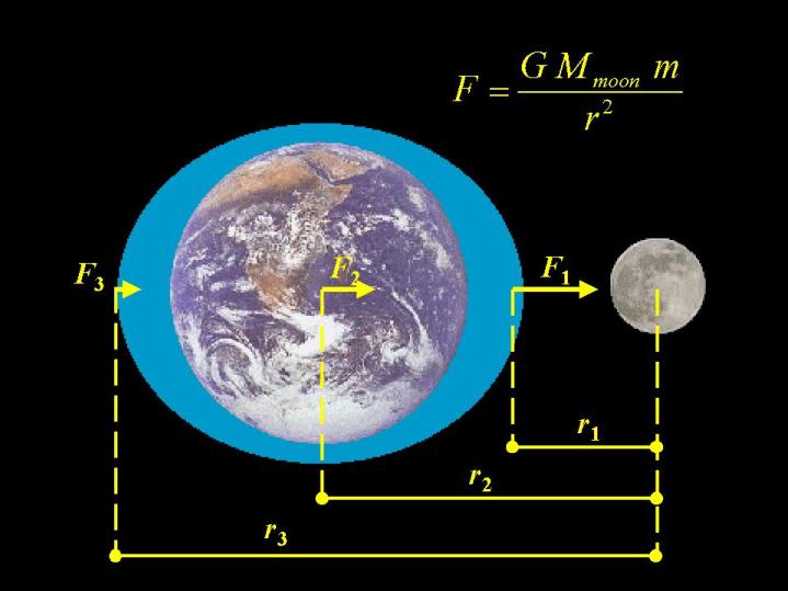 Tides are due to Moon's gravitational pull being stronger on side of Earth closest to it (Sun
