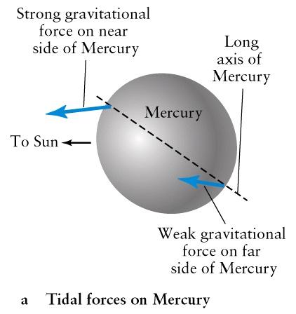 Strong tidal effects, Mercury s slightly elongated shape and its very eccentric orbit