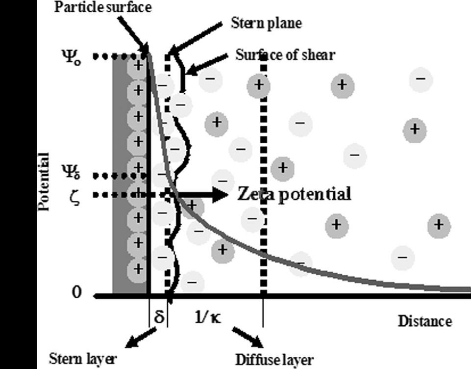 Zeta Potential and the Double Layer ζ