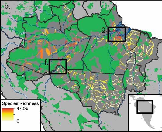 Case Study Figure 1. Multicriteria scoring of corridors in the Brazilian Amazon across three dimensions: Biomass density, mammalian biodiversity, and deforestation threat.