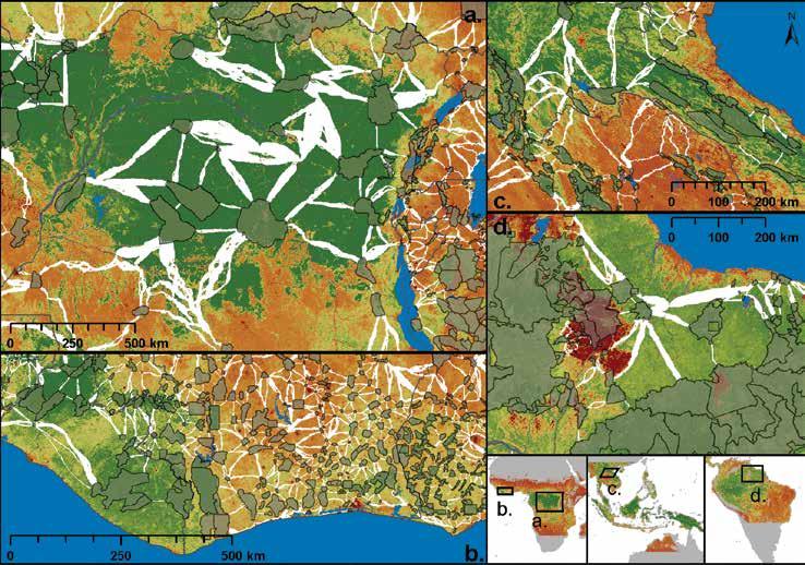 Lidar and GIS Used to Fight Climate Change and Preserve Tropical Forests continued from page 7 corridors within a specific region relative to their carbon and biodiversity cobenefits.