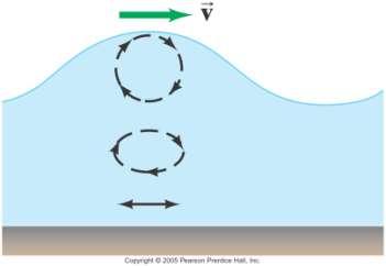 11-8 Types of Waves: Transverse and Longitudinal Earthquakes produce both longitudinal