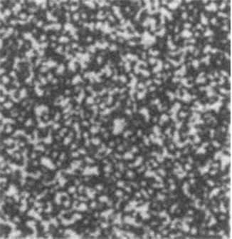 9 Figure 1.5: Photograph of a speckle pattern Figure 1.
