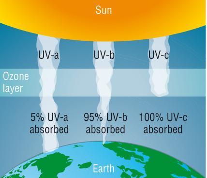 Ozone acts like a big pair of sunglasses filtering out most of the harmful UV radiation. Prior to the formation of ozone our planet was scorched and no life could survive.