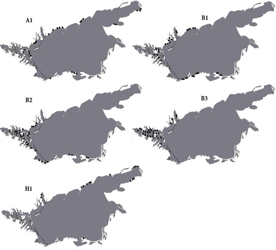 Figure 3: Distribution of the associations of the alliances Artemisio-Kochion prostratae, Artemisio tauricae-festucion valesiacae and Stipo lessingianae-salvion nutantis along the coastline of the