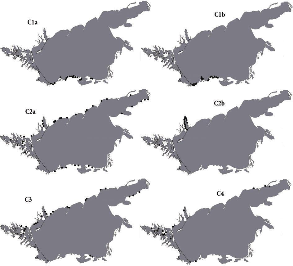 Figure 4: Distribution of the associations and subassociations of the alliance Tanaceto millefolii-galatellion villosae along the coastline of the Sea of Azov.
