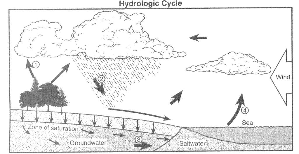121. Base your answer to the following question on the water cycle diagram shown below. Some arrows are numbered 1 through 4 and represent various processes.