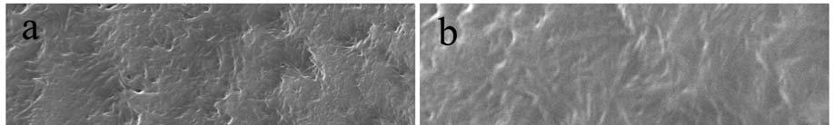 Polymers 2013, 5 1384 the neat and composite (reinforced with pristine or amine-functionalized CNTs) PA6 surfaces after fracture are presented in Figure 2.