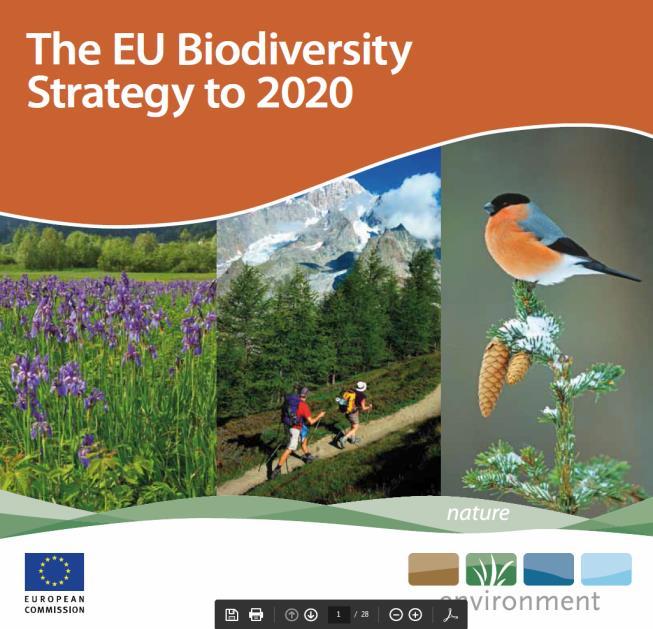 areas and other effective areabased conservation measures EU Biodiversity Strategy Action 1: Complete the establishment of the Natura 2000 network and ensure good