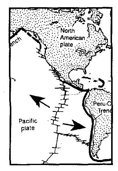 12. Base your answer to the following question on the map below which shows mid-ocean ridges and trenches in the Pacific Ocean.