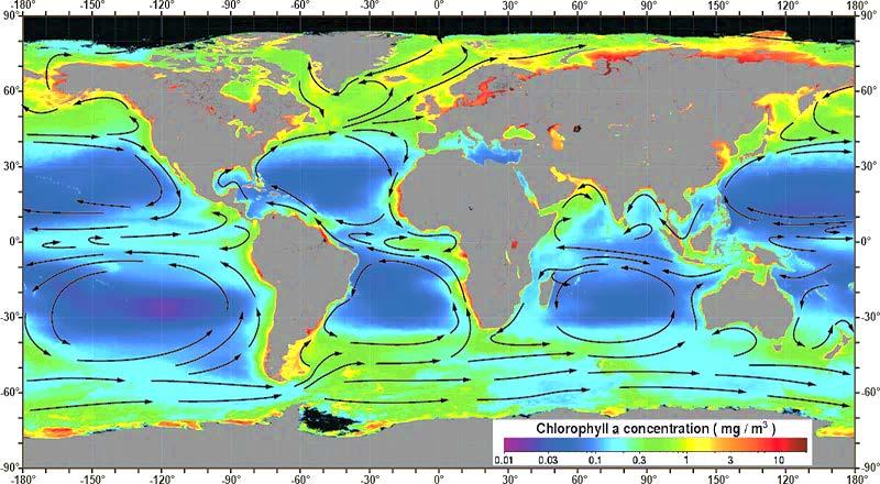 Subtropical gyres: Ocean Desert Mean Annual concentration of
