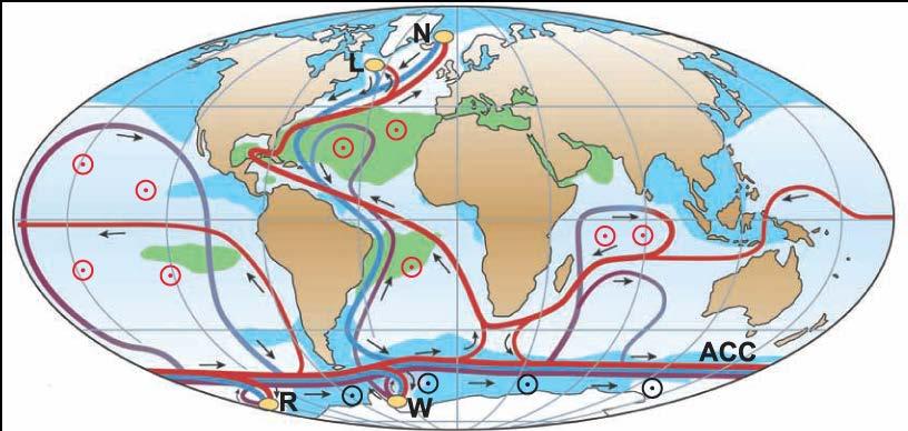(Palter and Lozier, 2008) Gulf Stream nutrient concentration 4-5 times larger than the Kuroshio counterpart (Guo et al.