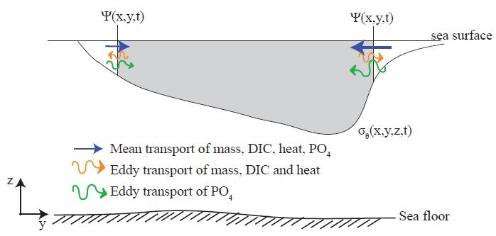 Conclusion Evaluation of lateral transport of mass, heat, carbon, and nutrients into the North Pacific and North Atlantic subtropical gyres, with a preindustrial simulation of an eddy-rich