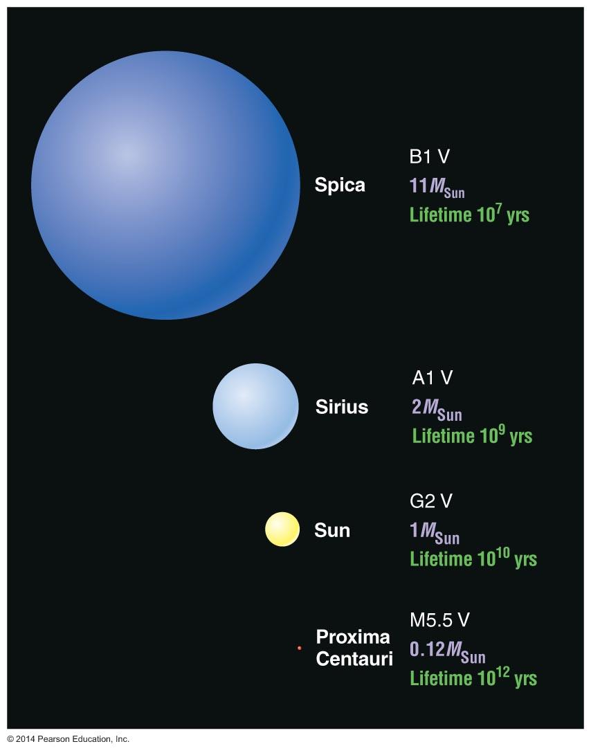 Main-Sequence Star Summary High-Mass Star: High luminosity Short-lived Larger radius Blue Low-Mass Star: Low luminosity