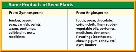 Products of Seed Plants Most wood used for construction and for paper production comes from gymnosperms.