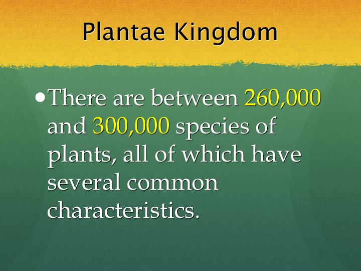 Plants belong to the kingdom: Plantae PLANTS AND PLANT