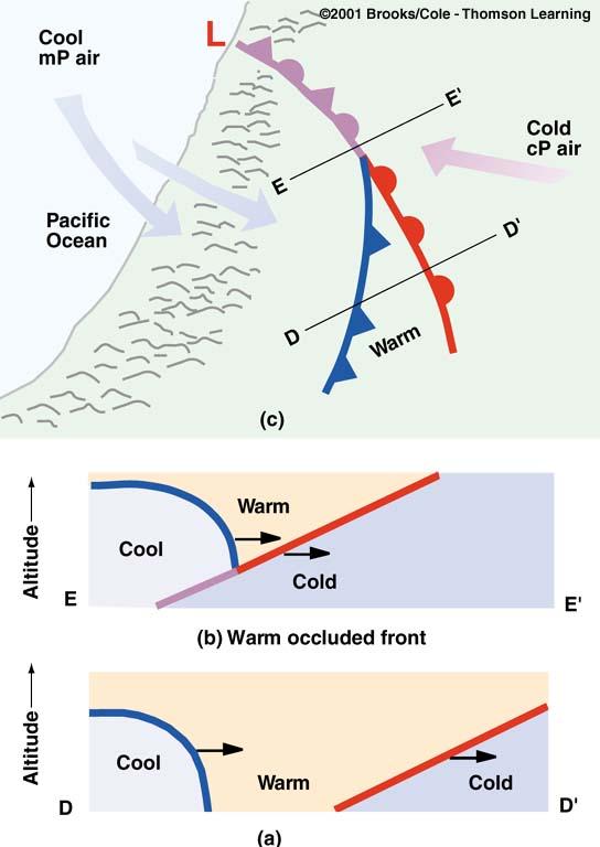 The lighter air behind the cold front rises up and over the denser air ahead of the warm front. Diagram (c) shows a surface map of the situation.