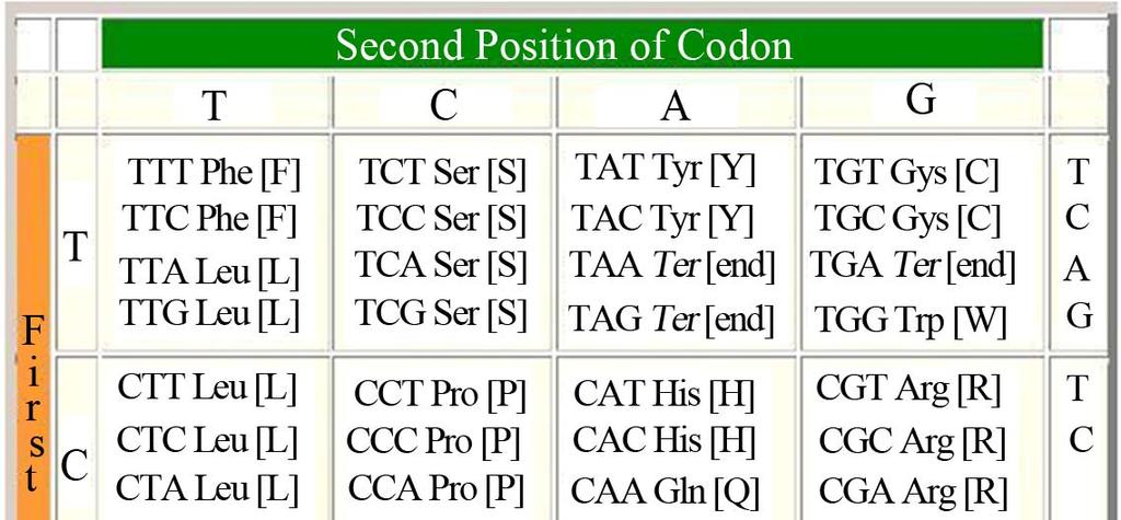 A subset of Table 3 focusing on the last CG octave.